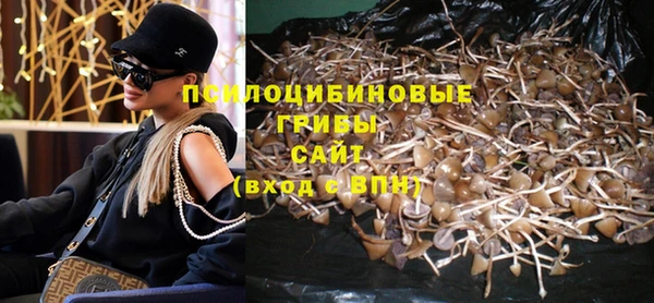 стаф Верхний Тагил