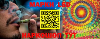 apvp Можга