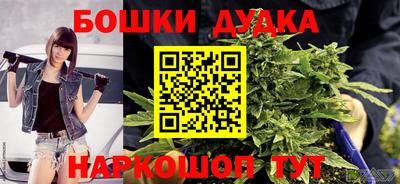 apvp Можга