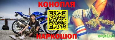 apvp Можга