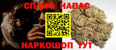 apvp Можга