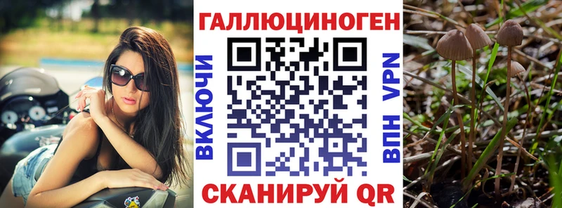 MEGA ссылка  Верхняя Салда  Галлюциногенные грибы GOLDEN TEACHER 